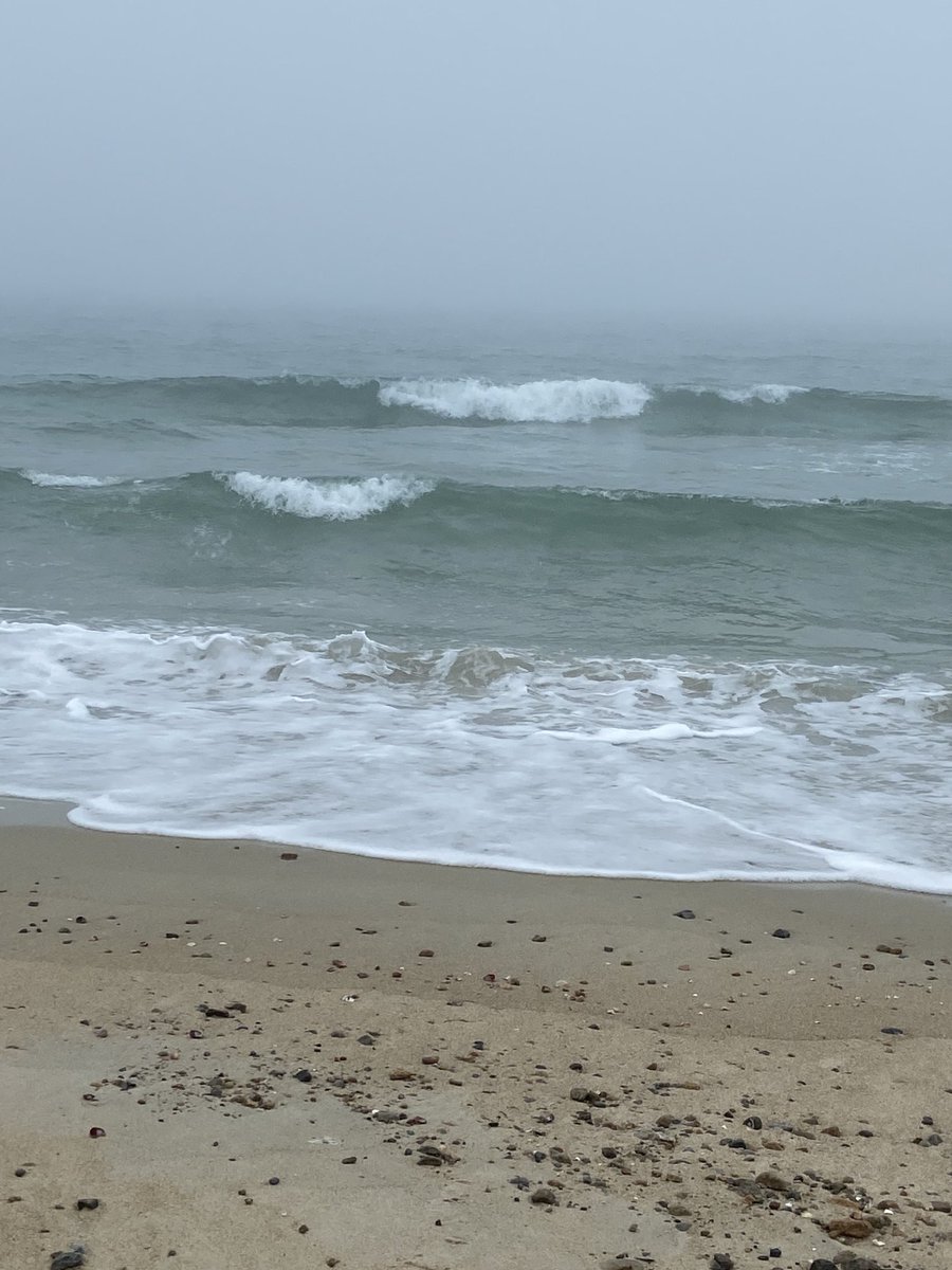 Tom Peters on Twitter "My kinda beach weather. Have loved this look