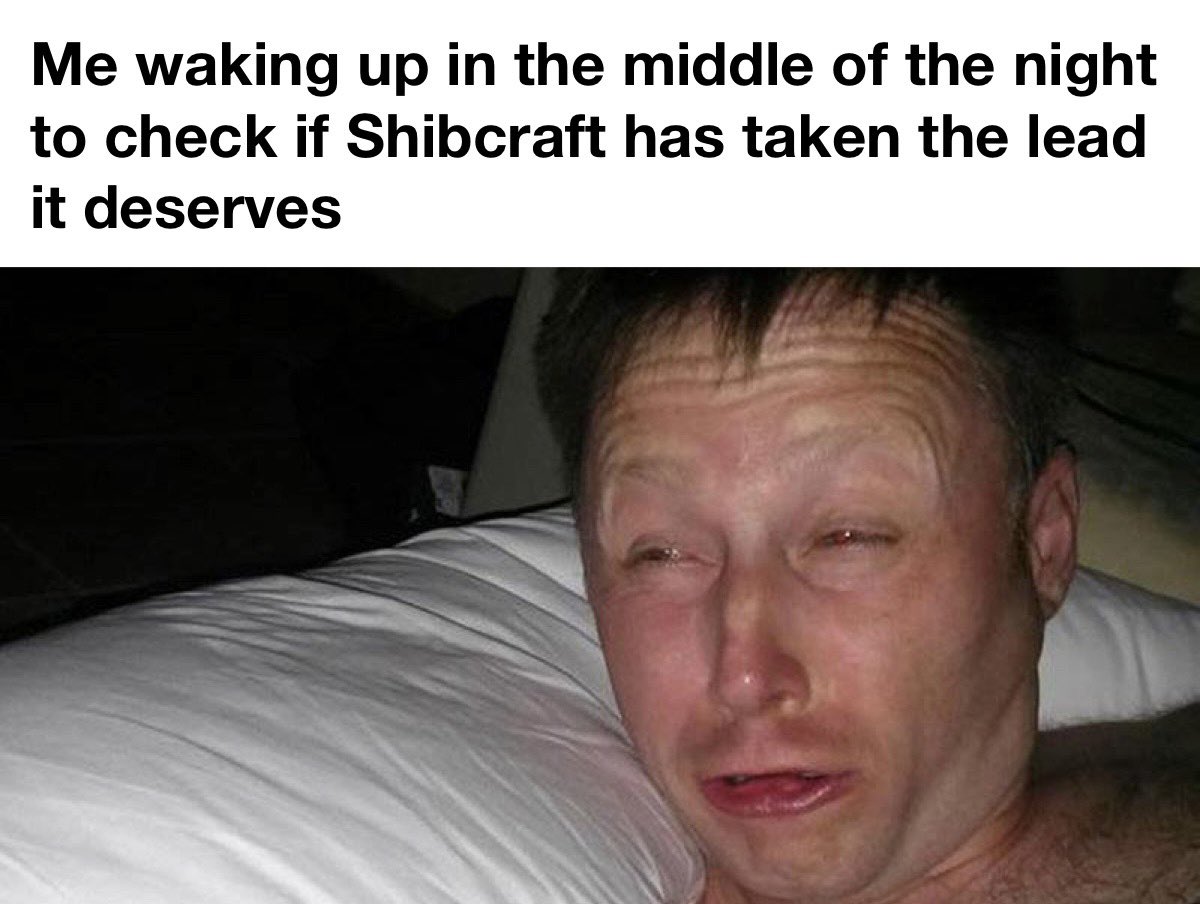 Moonersatzoomer's tweet photo. @justdream #Shibcraft https://t.co/IBM5YI8uEc