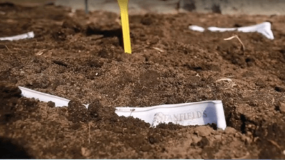 April 16-22 is National Soil Conservation Week! Looking for something fun to do during #CDNSoilWeek23? Why not give #soilyourundies a try? Details found here: ow.ly/HbbU50NL9li