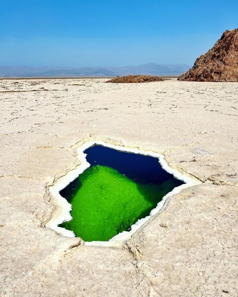 ethio_hub7's tweet photo. Lake Karum is a salt lake in the Afar Region of Ethiopia. One of two salt lakes in the northern end of the Danakil Depression, it lies 120 m below sea level. 
📷 @HilenaTafesse 
#photooftheday #ethiopian #nature #travelgram #omovalley #portrait #etiopia https://t.co/YZSbTubQo6