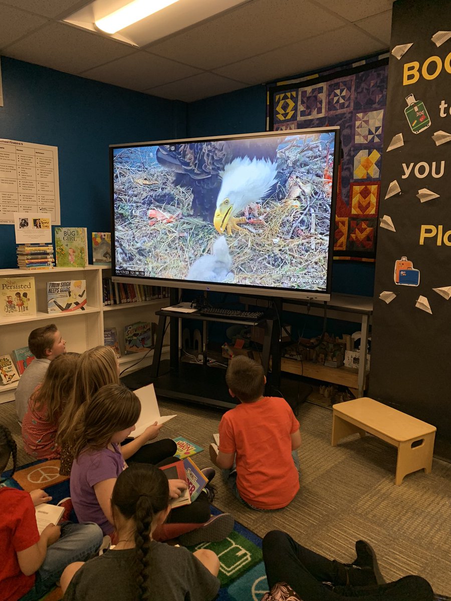 Deanna Duray tweet media