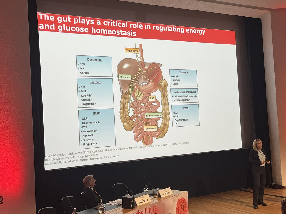 drmeallan's tweet photo. An incredible tour de force talk on #obesity from the always inspiring @ProfBatterhamMD, this year’s Hatter Award recipient @atthelimits @HatterCardioUCL. #CDNATL23 https://t.co/236VFdIIIK