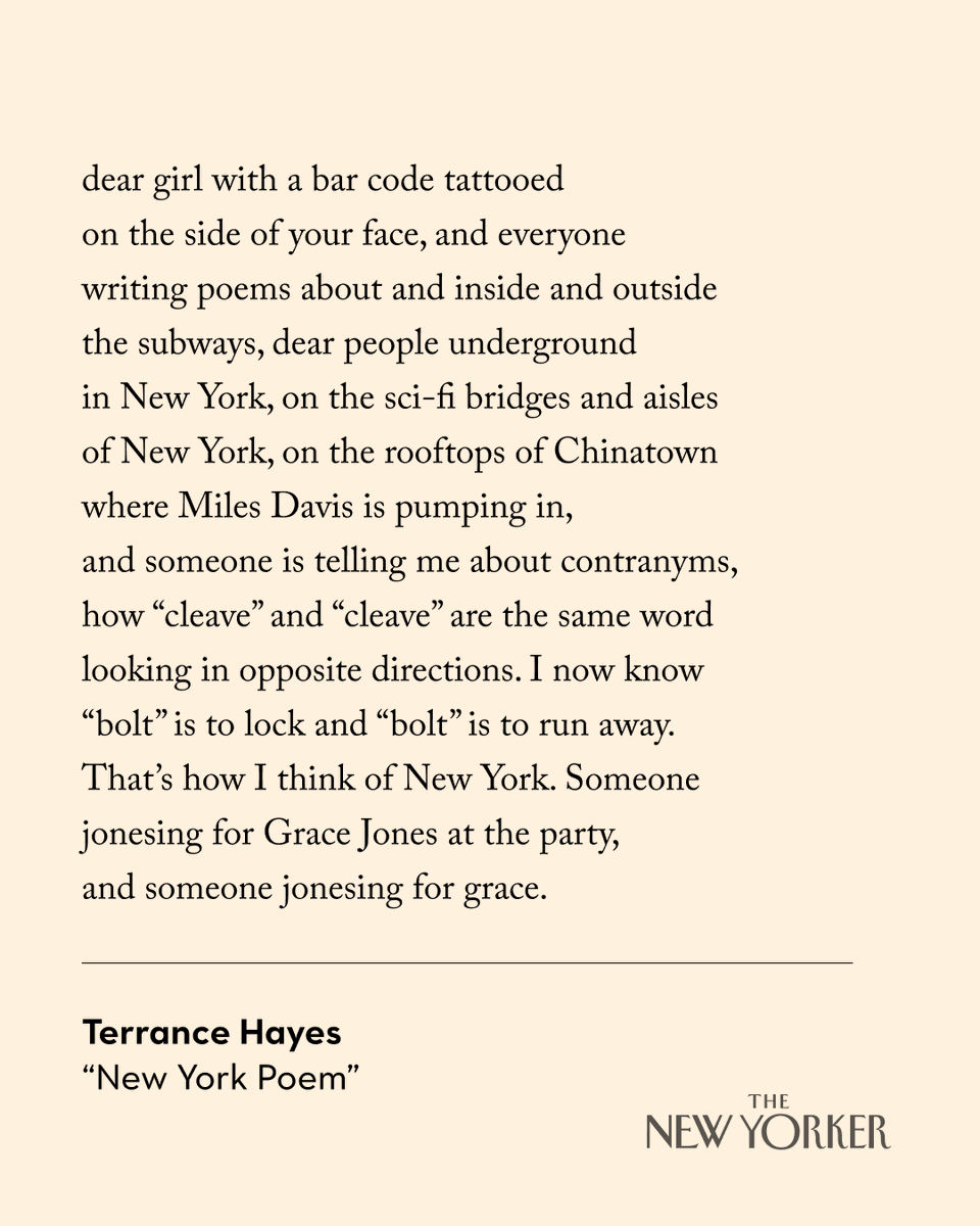 Read “New York Poem,” by Terrance Hayes, in full: nyer.cm/QhGLVs7