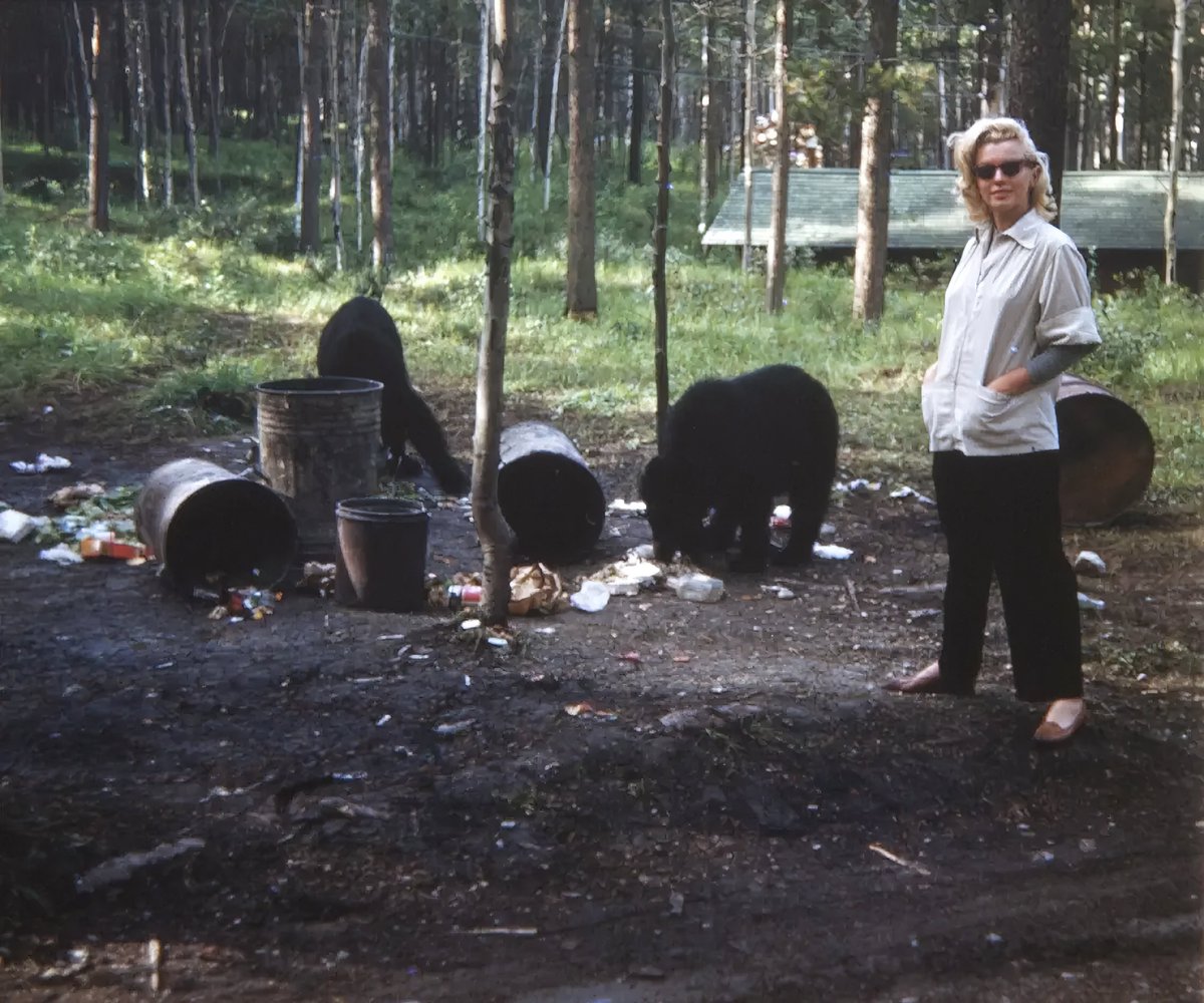 Marilyn Monroe hanging out in a camp ground in Banff, Alberta in 1953.