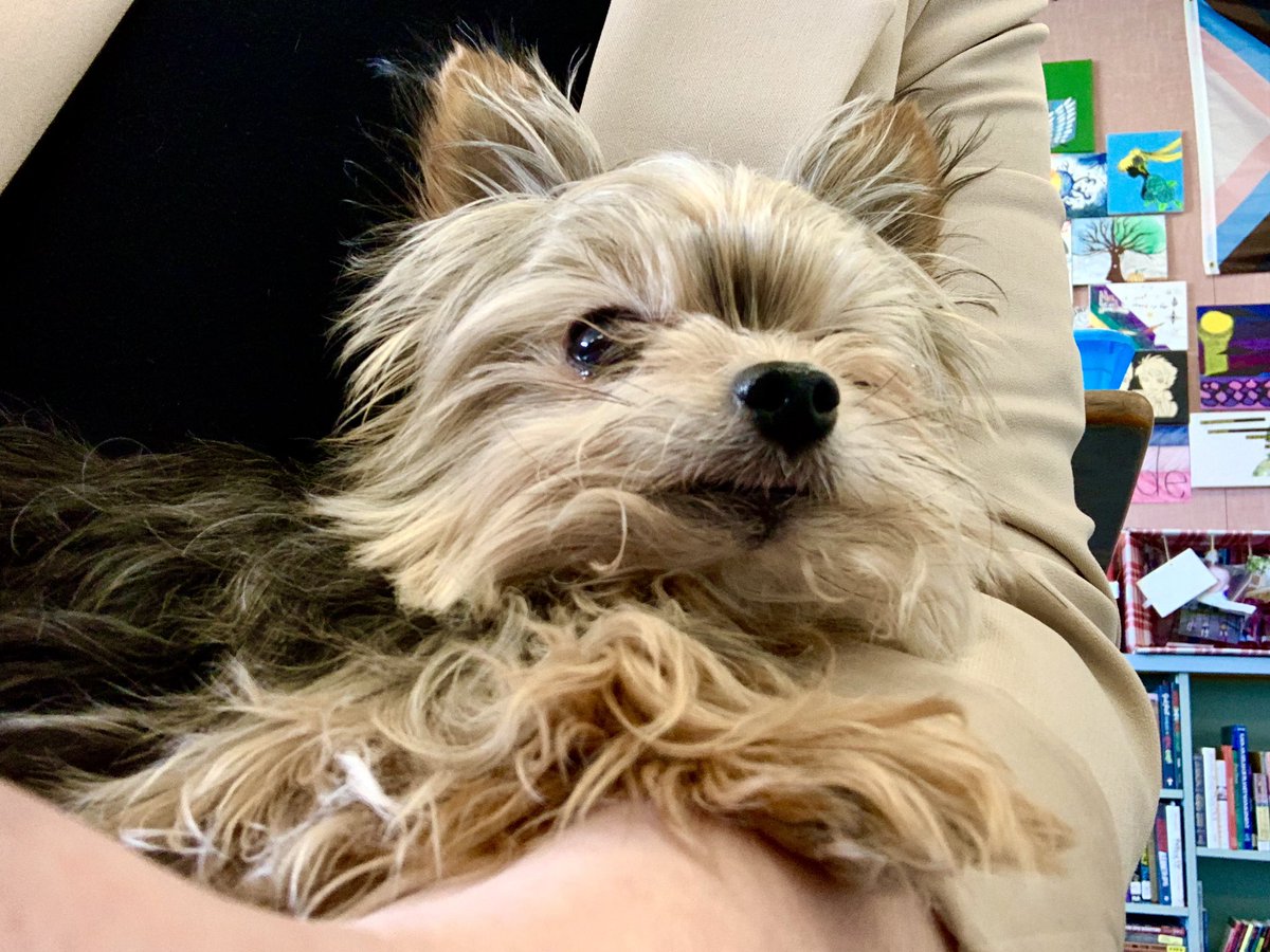 Dueck (they/she) tweet media