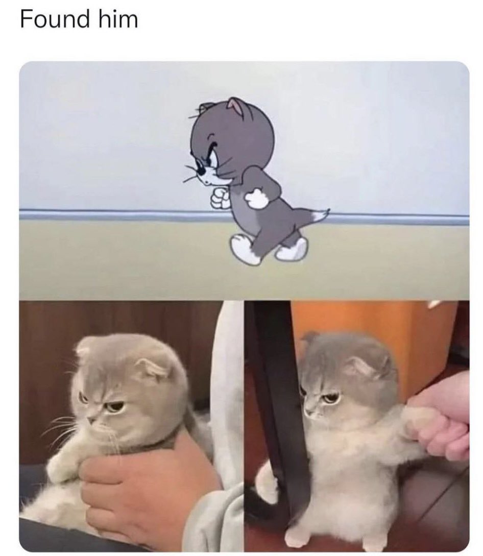 WholesomeMeme's tweet photo. https://t.co/ABEJss46bG