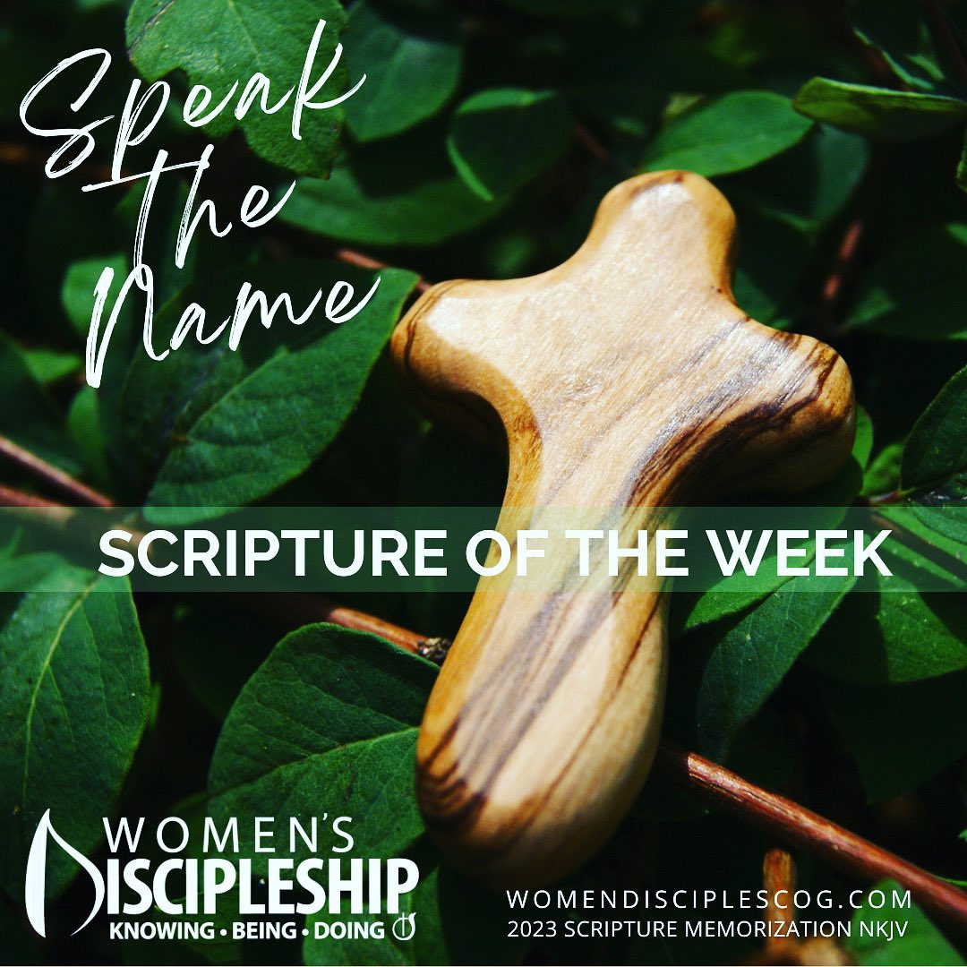 WomenofPowerCOG's tweet photo. SCRIPTURE OF THE WEEK
SPEAK THE NAME: 
GLORIOUS

Let them praise the name of the Lord,
For His name alone is exalted;
His glory is above the earth and heaven."
Psalm 148:13 (NKJV) https://t.co/UuIHYMk8O8