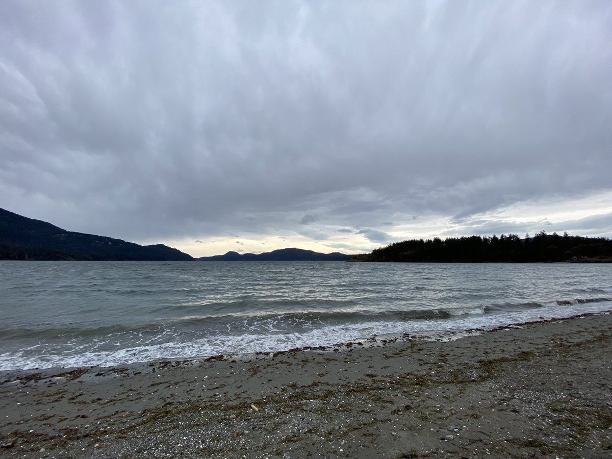 engelkri's tweet photo. a not terrible remote work office view https://t.co/qfI7ftafMD