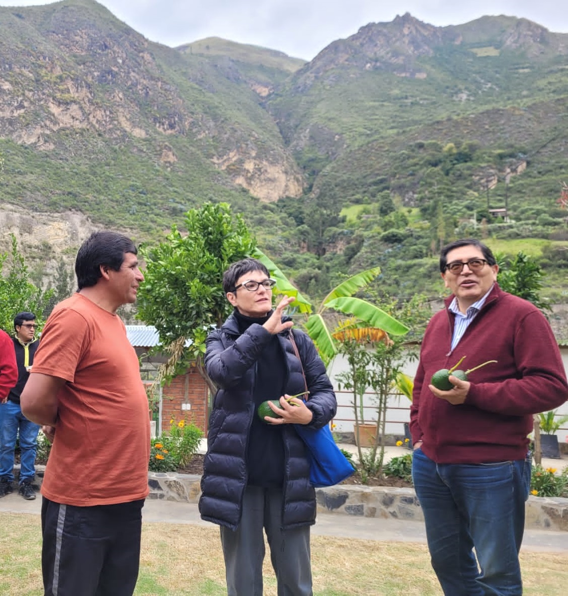 FAO Perú tweet media