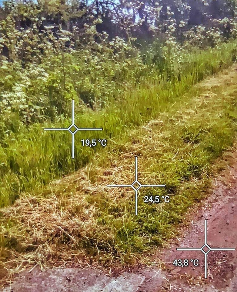 MsCiencia2's tweet photo. Una hierba sin cortar mantiene el suelo a 19.5°C
Una hierba cortada a 10 cm mantiene la temperatura del suelo a 24.5°C
Un suelo desnudo en pleno verano sube a más de 40°C
Es importante visibilizar estos conocimientos. https://t.co/z954iOpZlk