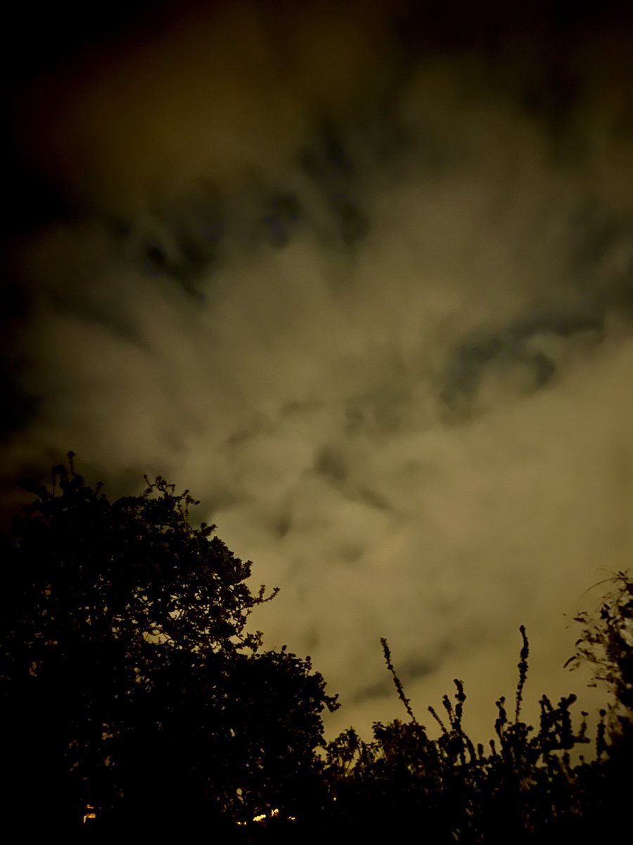 fortblocks's tweet image. What do you see? ☁️✨#cloudvibes