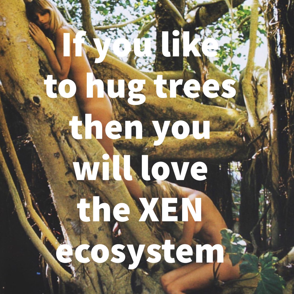 The $XEN ecosystem has something for everyone!! #cryptopunk #xenians #dbxen #xenlonmars #hugatree