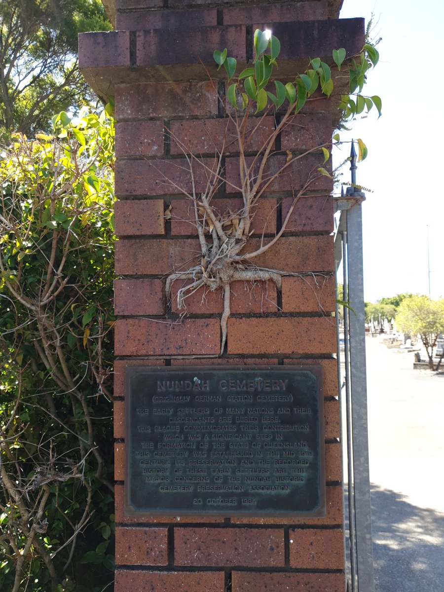 GlenAlvaBooks's tweet photo. This is one of the only things that remains of German Station, setting for my book Murder at German Station. It was a reminder of how harsh life was back then. #aushistory #brisbanehistory #AusWrites #AusBooks #AustralianAuthors #indieauthor #worldbuilding https://t.co/PIlWHVbtaR