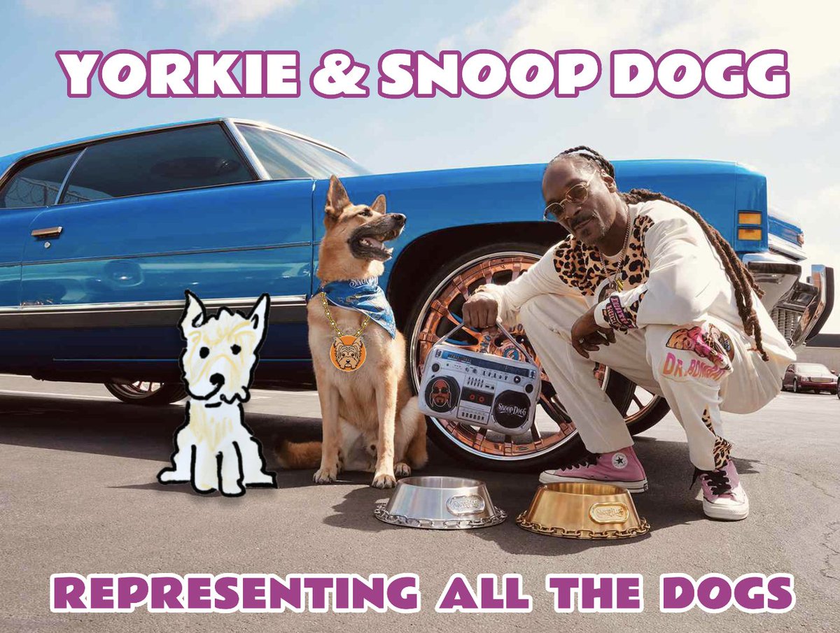 YorkieInu's tweet photo. One Big Family 🐶🐾♥️ wuF WuF!

@SnoopDogg @Shibtoken @BillyM2k @RealFlokiInu @dogecoin #Yorkie @MyDogeCTO #DOGE #FLOKIOG #hobbes @Hobbes_ETH #SHIBA #ShibaArmy @elonmusk #memecoin #altseason2023 #Dogsarefamily #DogsofTwittter #dogs #XAI #Apollo https://t.co/hJcv2Jxzza