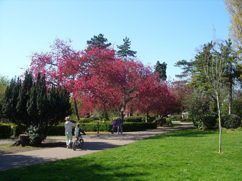 Barry S. tweet media