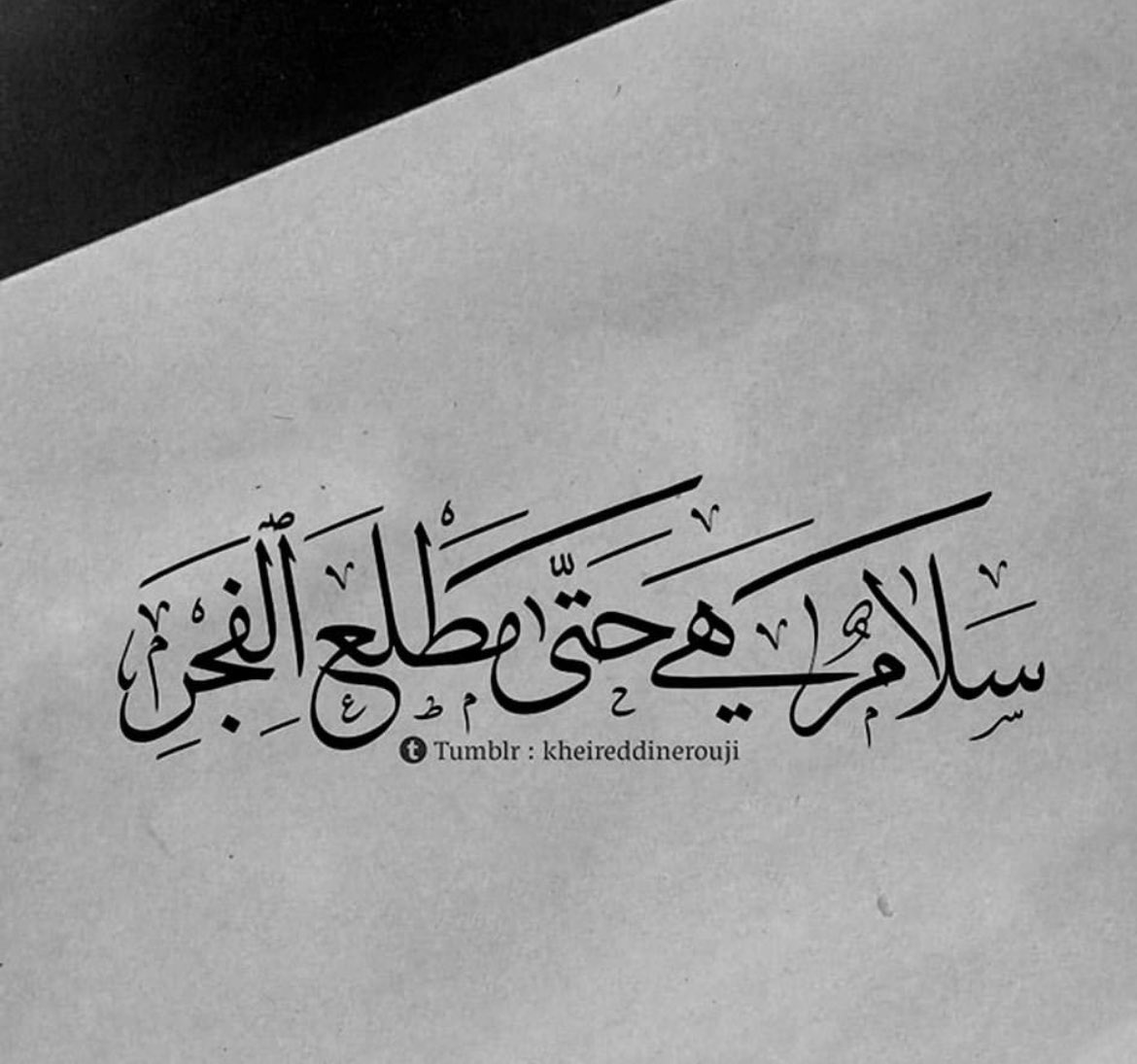 محمد الجنيبي (@aljunaibi_m7) on Twitter photo 