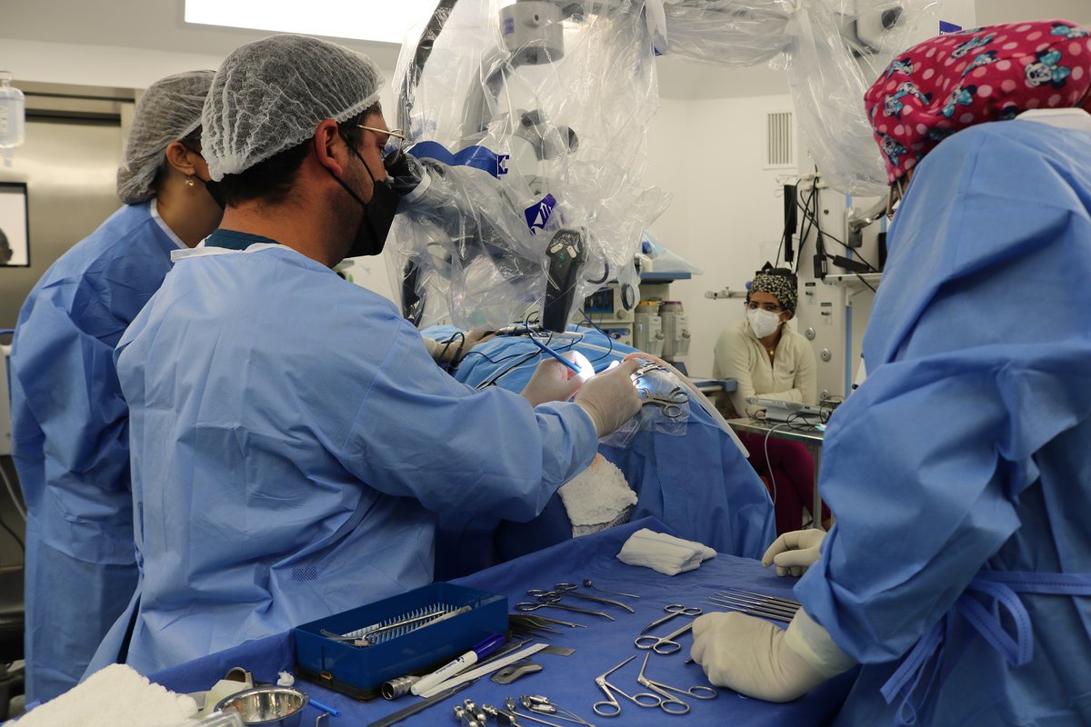 hospitalcopiapo's tweet photo. Hospital Regional de Copiapó: primero en todo el norte de país en realizar cirugía de implante coclear.

Esta intervención quirúrgica marca un hito en la salud auditiva del Norte de Chile

felicitaciones al equipo de Otorrinolaringología

Más información
https://t.co/1v9R2aZZmD https://t.co/MviHq7PYOX
