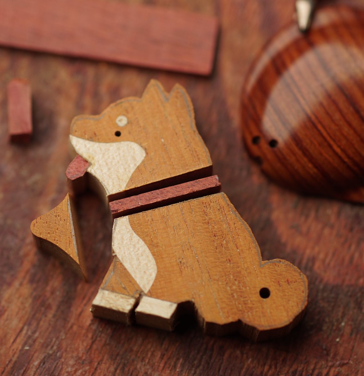 LongTai16497348's tweet image. あれ❓首輪が付くみたいだよ✨