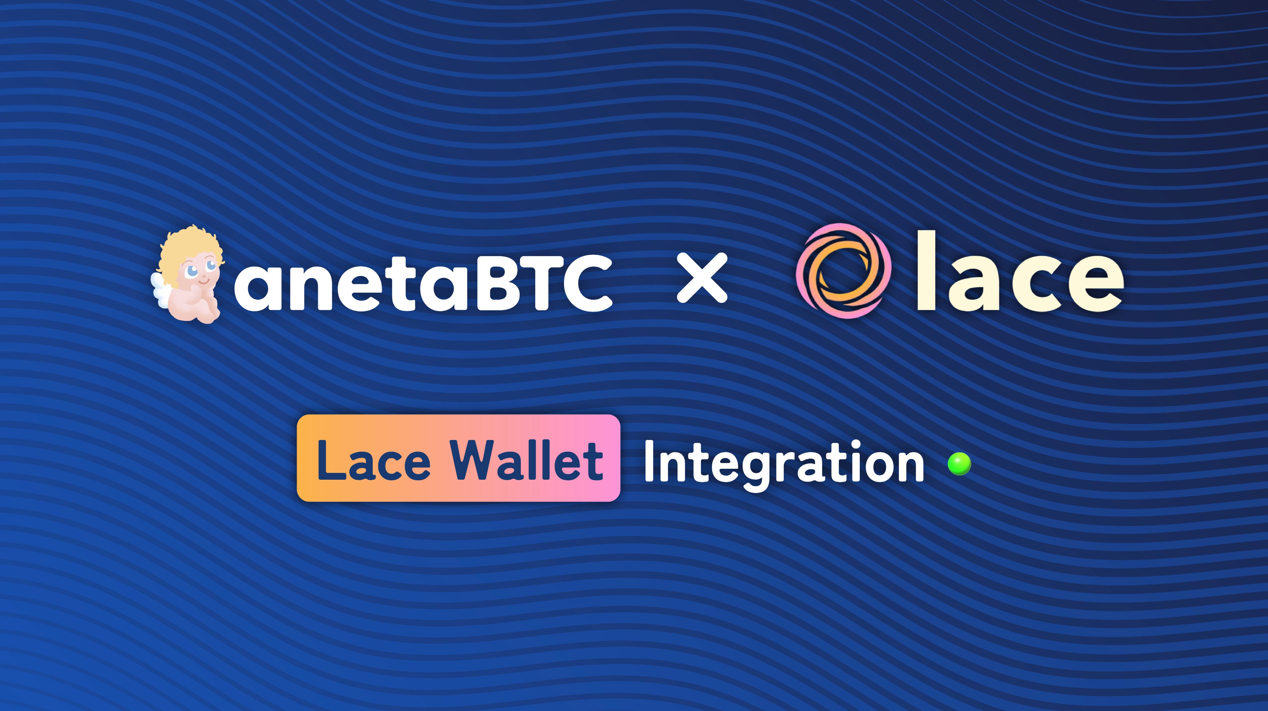 anetaBTC 👼 Wrapped BTC on Cardano and Ergo (@anetaBTC) / Twitter
