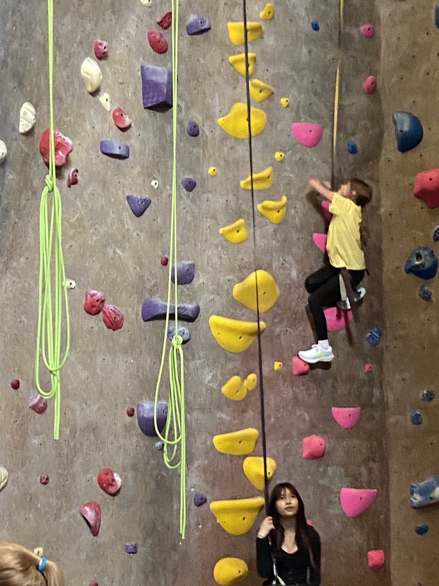 Mrs. Adams’ Math tweet media