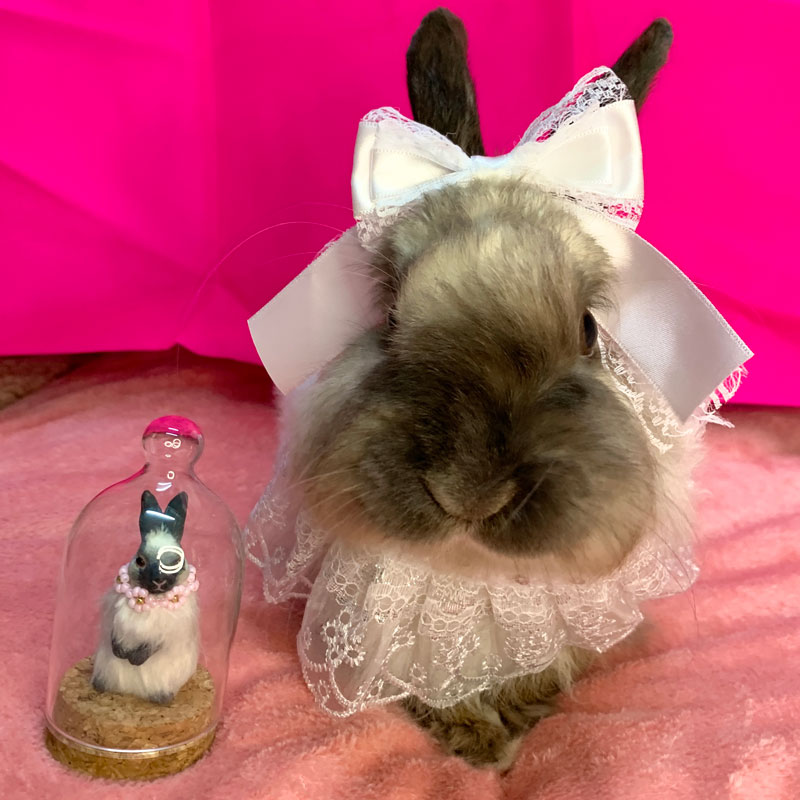 贈り物 the 【AL様】cute Order around rabbit♥️ limited - www