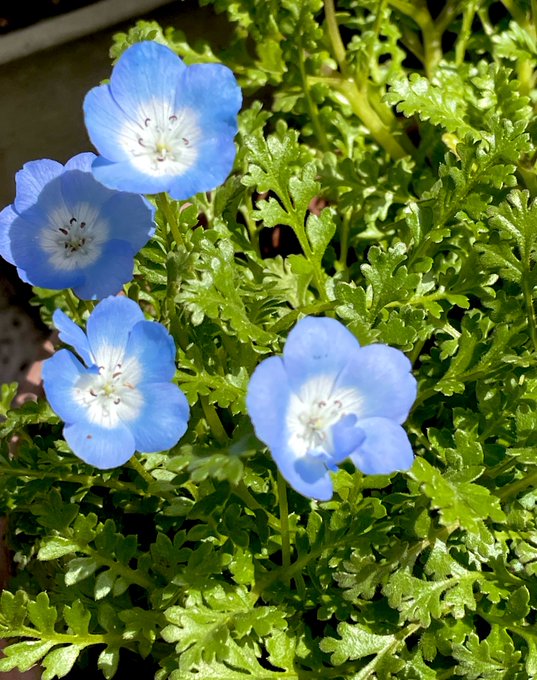 Twitterのコスプレ画像17