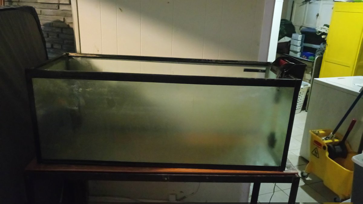 Don_MusaVT tweet media