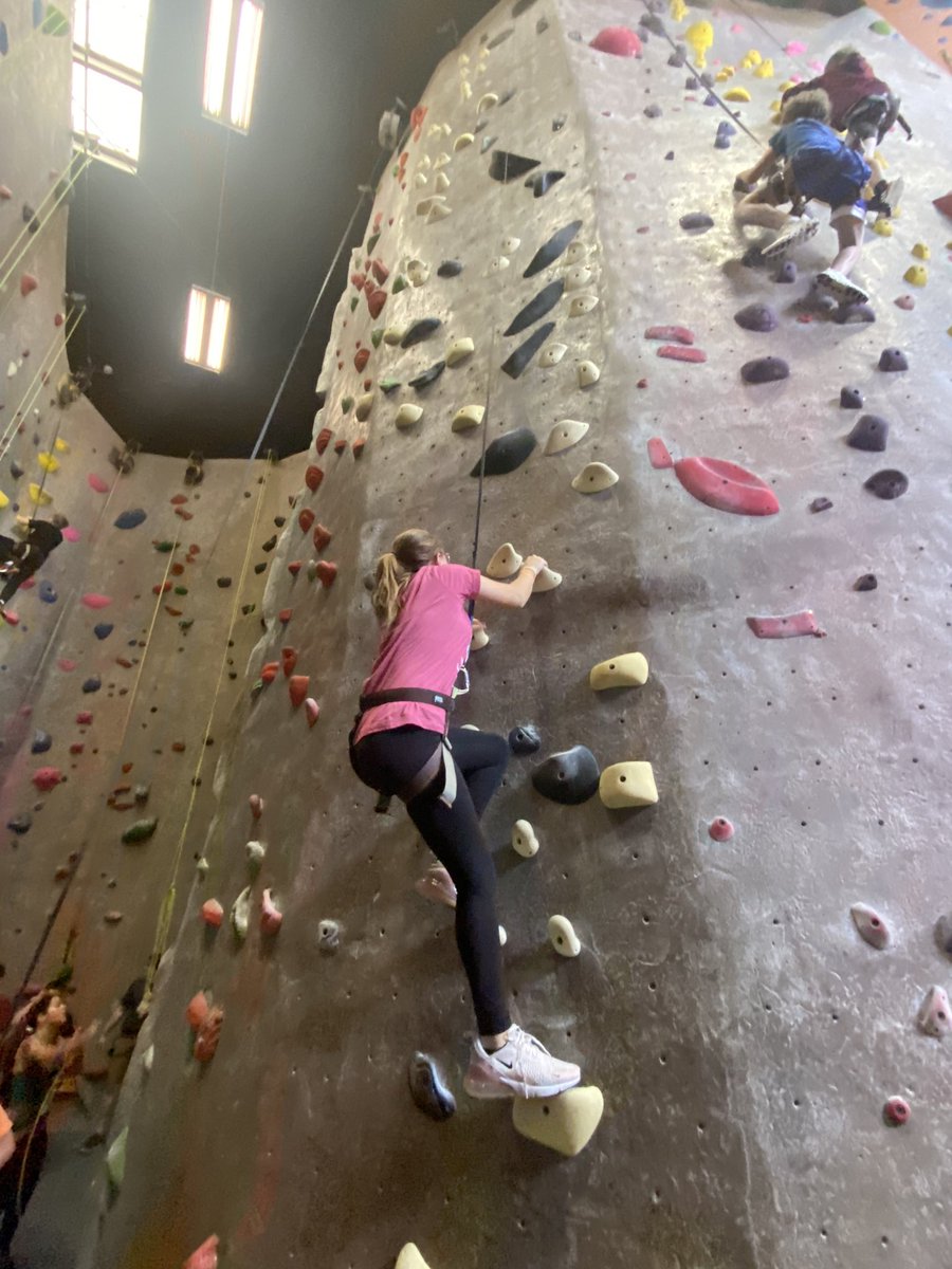 Mrs. Adams’ Math tweet media