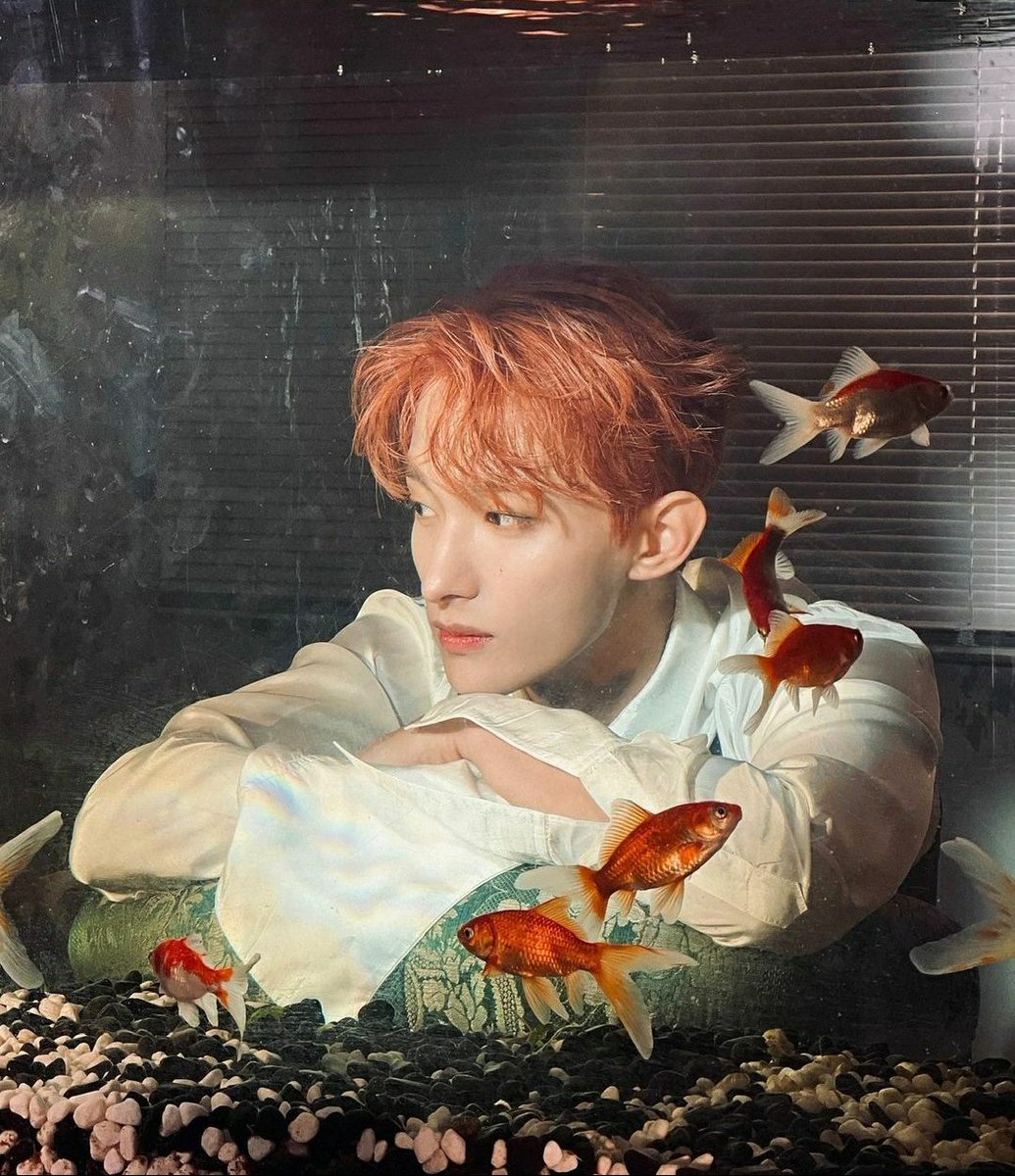 kyeomdoul's tweet photo. a painting by god. https://t.co/BoSNfx5nu3