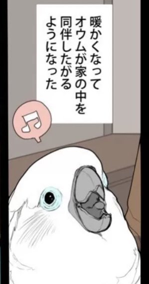 トリ漫画『オウムは今日も考えている』更新しました!
我も我もと...?

オウムマンガリンク
https://t.co/kvdPvh3wh1 https://t.co/7FRoGh7WOV