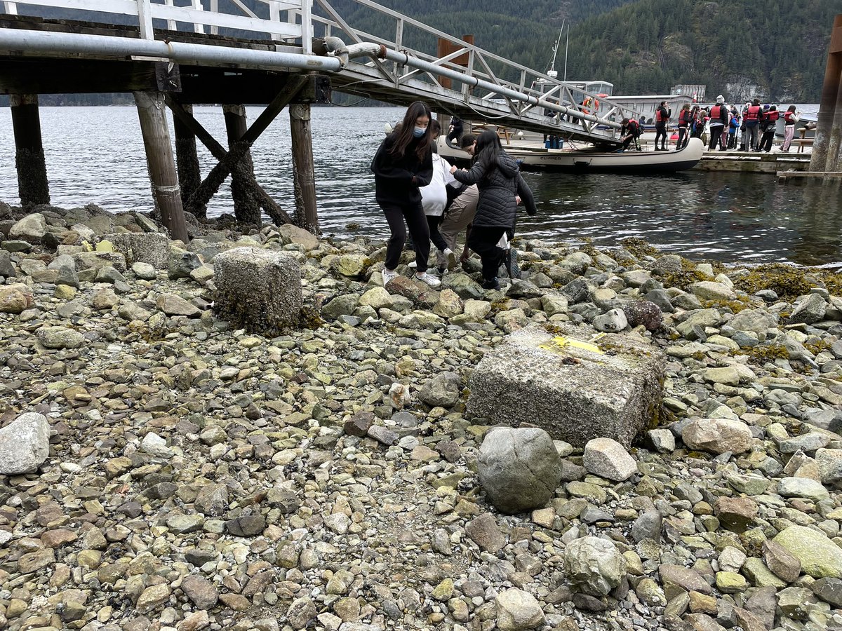 Maple Lane Lightning tweet media