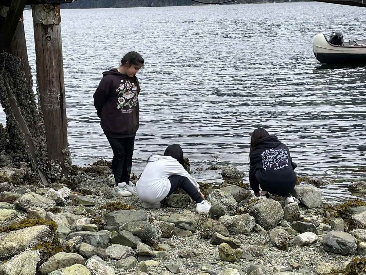 Maple Lane Lightning tweet media