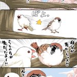 がんばるニワトリさん!お花見をしたい鳥たちの漫画!