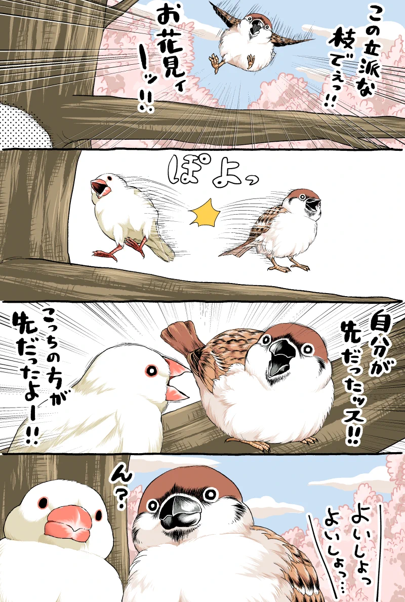 がんばるニワトリさん！お花見をしたい鳥たちの漫画！