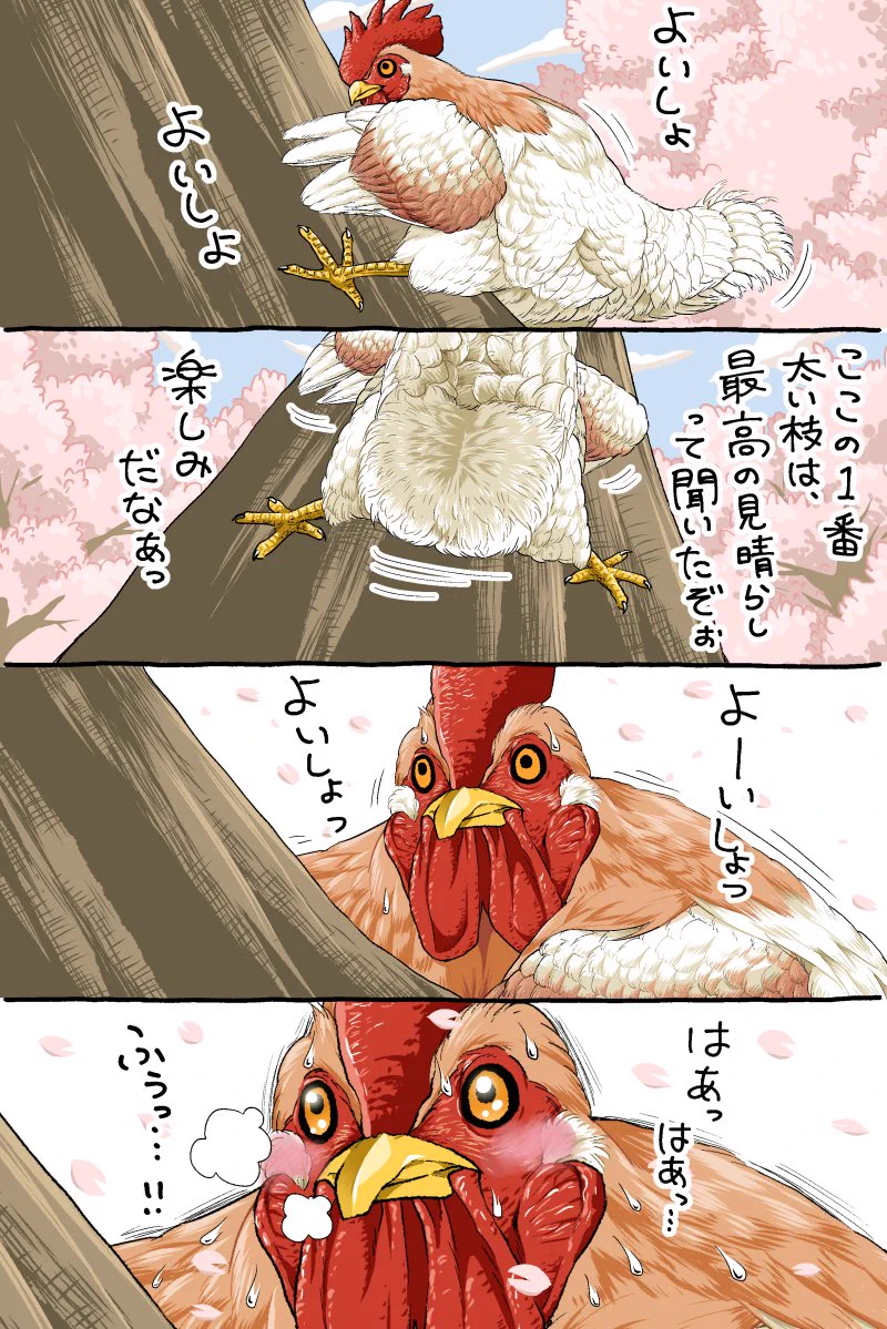 がんばるニワトリさん！お花見をしたい鳥たちの漫画！