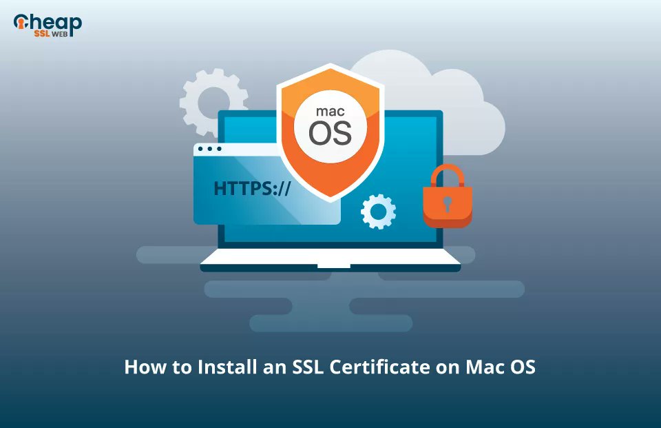 cheapsslweb's tweet image. A Step-by-Step Guide to Install an SSL Certificate on a macOS Server
Read more: -
cheapsslweb.com/resources/how-…
#macOS #tuesdayvibe #cheapsslweb #SSLCertificate  #howto