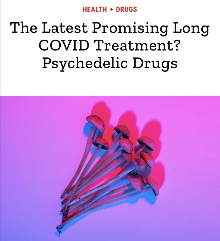 Psilocybin is a miracle that regrows tissue and reduces inflammation in the brain, helping to treat the damage caused by Long Covid.