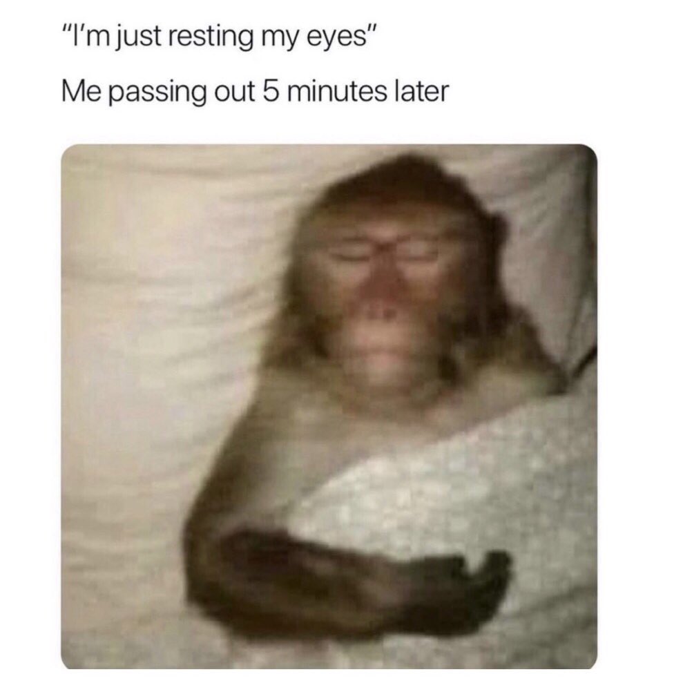 introvertsmemes's tweet photo. Story of my life https://t.co/qTt5vUvqxS