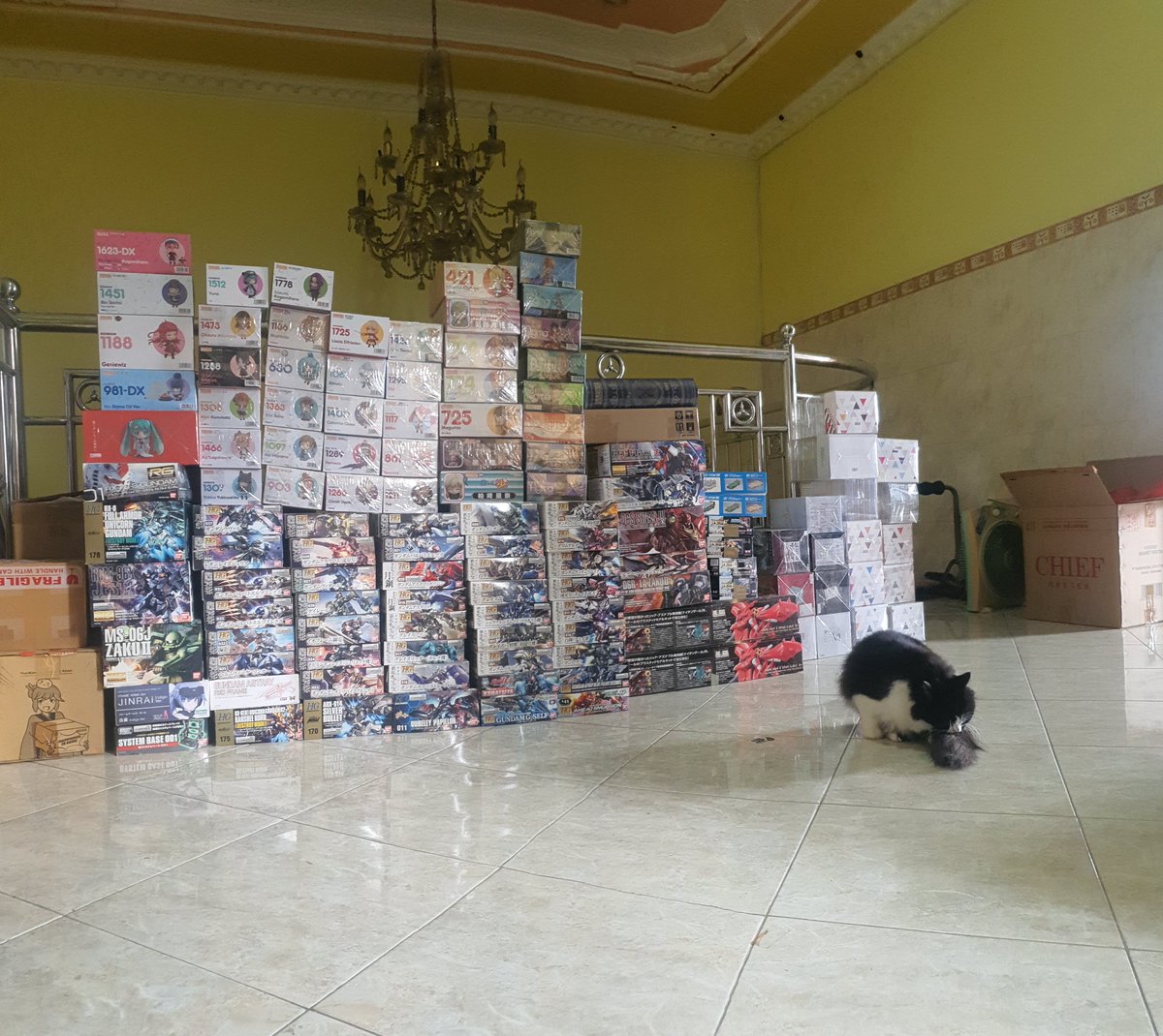 AgusTulas's tweet photo. @sosmedkeras Pengennya sih ditaruh ruang tamu tapi gak gak muat akhirnya dimasukin box lagi taruh gudang 😅 https://t.co/1b0LrZvmKK