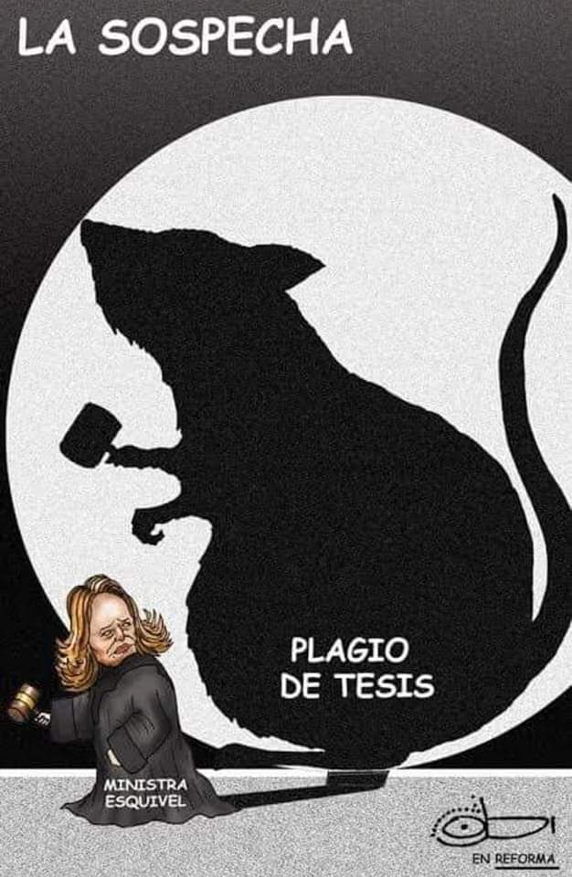 hertalapot56's tweet photo. Olvida usted algo...? https://t.co/tpkHpvyfPl