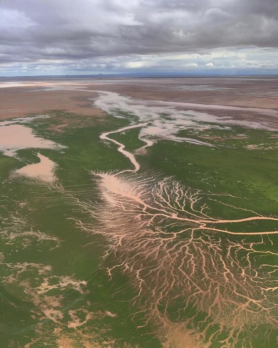 My North is splendid! 
#ChalbiDesert #NorthernKenya #MarsabitCounty #Kenya