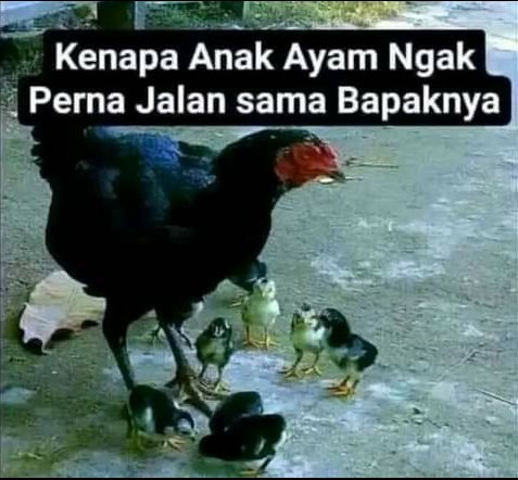 Sapa" para follower..
<a href="/1Rantjono/">Suryo Rantjono 1 🇲🇨❤🇲🇨</a> 
<a href="/Afni04508751/">liz</a> 
<a href="/ArbyZakey2/">Afrieno Ray</a> 
<a href="/AeBabahno/">Babahno Ae ➡️(II)🇲🇨</a> 
<a href="/ae_kayo/">tan kayo</a> 
<a href="/difaa55/">Diandra_Agifa</a> 
<a href="/agamlangsa/">Agamlangsa</a> 
<a href="/Shodiqin10/">A_S</a> 
<a href="/khalif_ah/">Teguh Mangunsiswoyo</a> 
<a href="/S_AhmadAbuLaila/">𝘚.𝘈𝘩𝘮𝘢𝘥 🇮🇩 ❤ 🇵🇸</a> 
@GaTypoLagi 
<a href="/Soekma_Airin/">Airin Satu</a> 
@tengkorak_maut 
<a href="/Mantan_Ajja/">🇵🇸 Iɯαɳ Mαɳƚαɳ 🇵🇸</a> 
<a href="/ajengcute16__/">ajengcute16👑</a> 
<a href="/OceNiaica/">tjujuh tjujuh</a> 
<a href="/A1ki4_ku5_21/">Ku5_21 🩶🍒</a> 
Mohon pencerahan..
👇👇👇👇