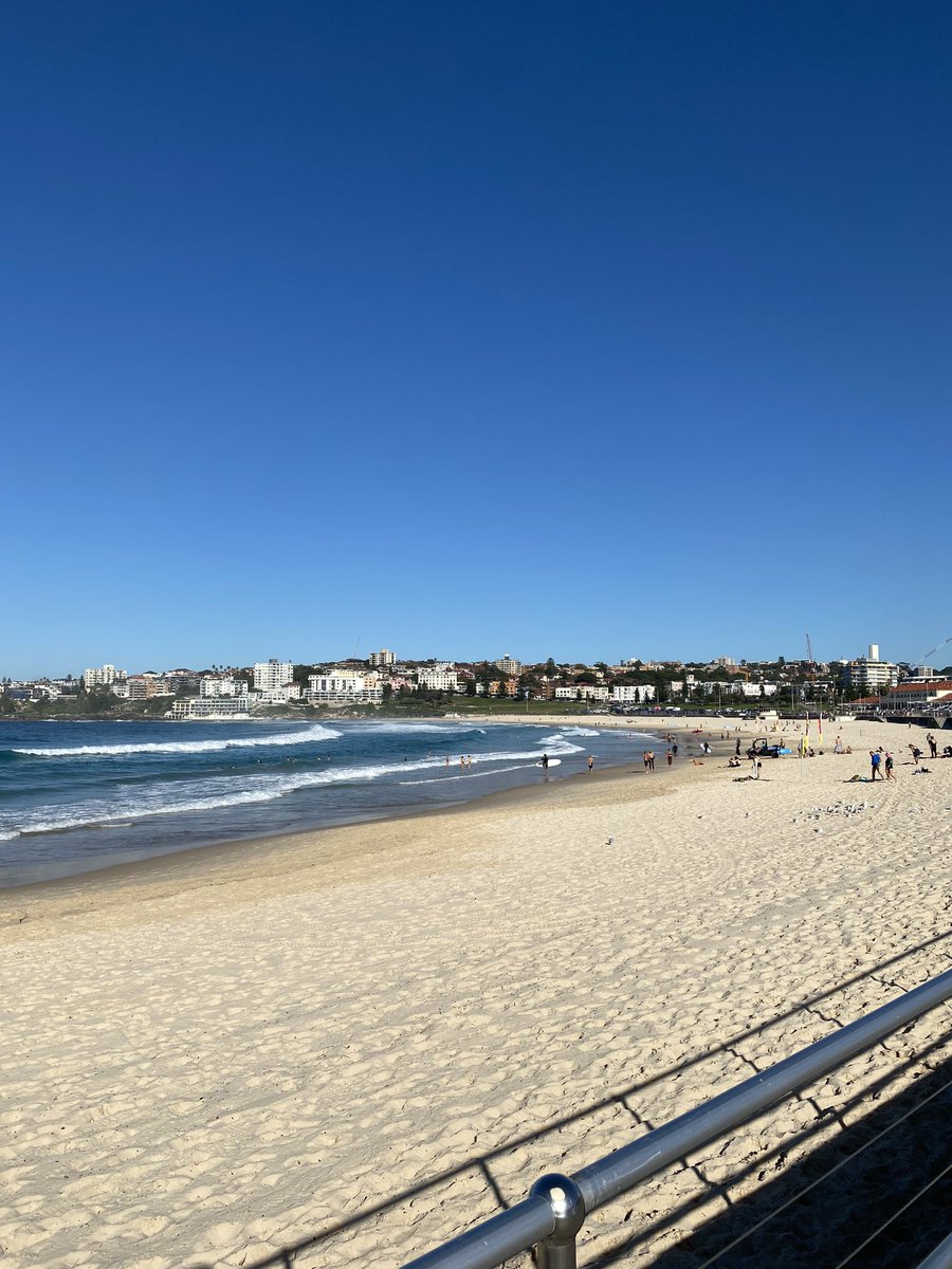 JakeSolx's tweet image. Gm from Bondi ☀️