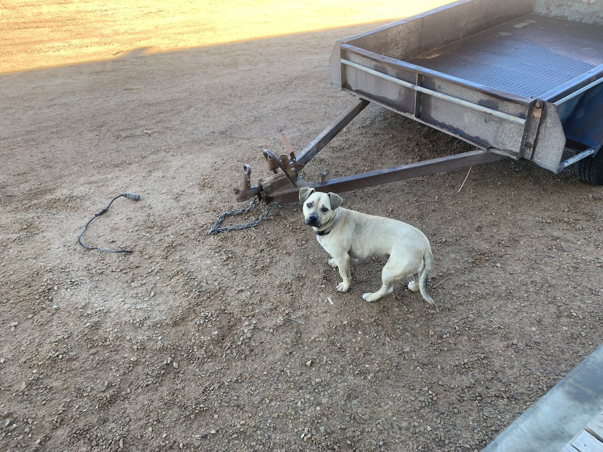 Dal Waters tweet media