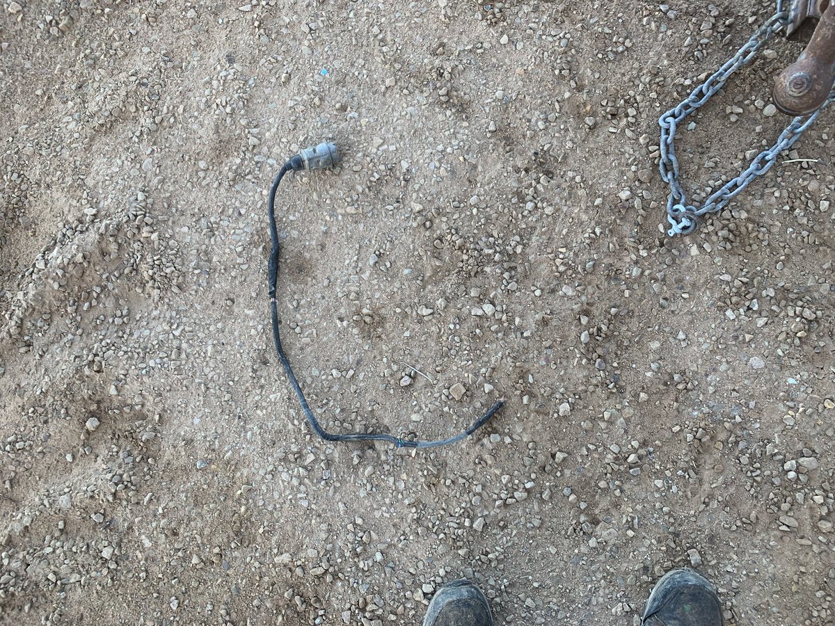 Dal Waters tweet media