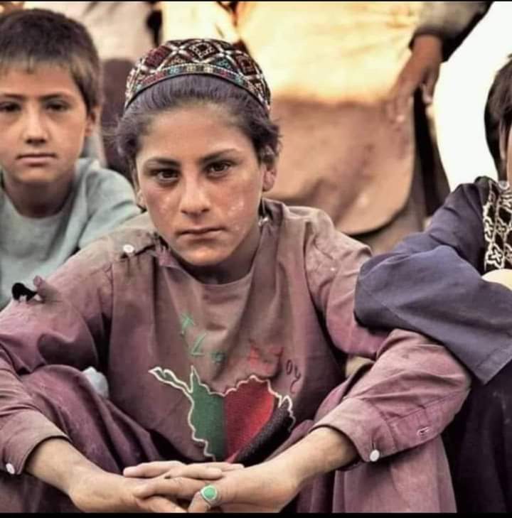 Fareed Stanikzai tweet media