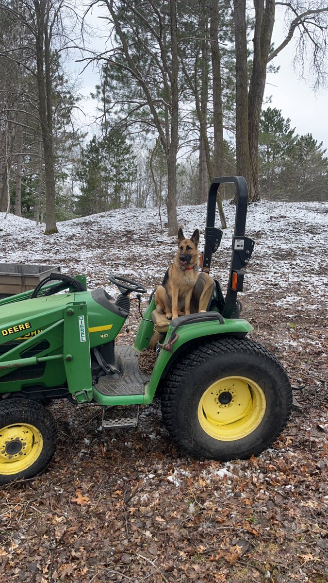 WsRiedel's tweet image. It's all about that work/life balance @DogsOfTurf #DogsofTurf #GSD