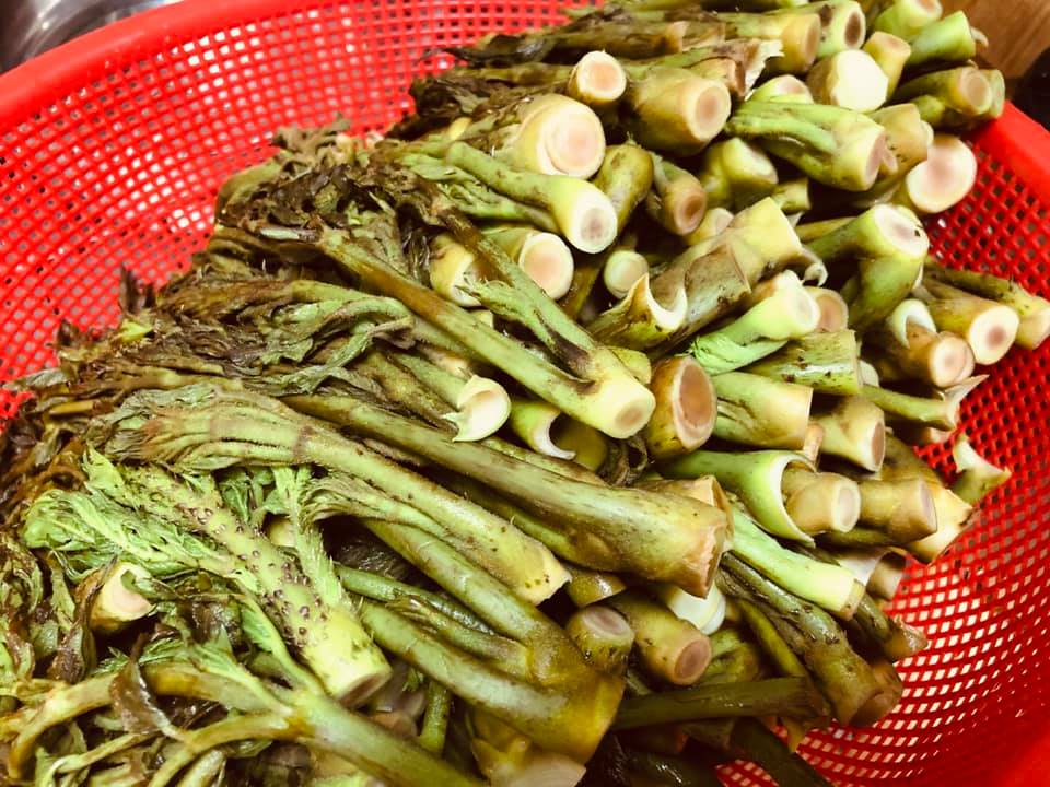 두릅도 나왔어요.
munjadang.net/goods/24617