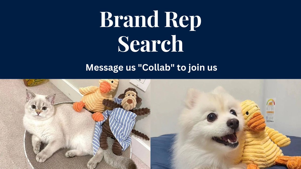koowyy's tweet photo. 🚨BRAND REP SEARCH🚨

Landypaw is groing, we're looking for dogs and cats ambassadors to wear our newest collection ❤️ DM us on INSTAGRAM @landypaw for collaboration opportunities ✨

👉 Worldwide applicants.
👉 No minimum requirements .
👉 Get 3 FREE products.

DM “PROMO” to our main page: @landypaw on INSTAGRAM within these 24hours to claim your spot!