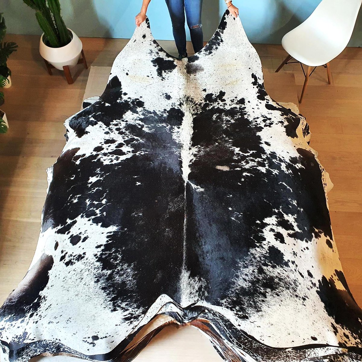 eCowhides's tweet photo. $299 - Natural Brazilian Black Speckled Cowhide Rug Size XX Large 9959

https://t.co/a7ebZ5HKnG

#luxurydesign #realcowhide #luxuryliving #cowhiderug #leather #ınterıordesingner #interior #brazilian #luxury #decor #homedecor #rugs #interior #interiordesign #homedecoration https://t.co/Xx11DVO92v